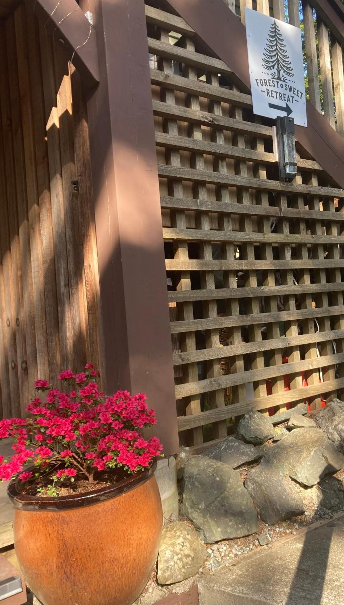 Forest Sweet Retreat Hot Tub & Wood Fired Sauna ユクルーレット エクステリア 写真